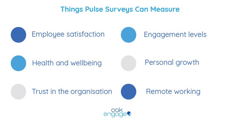 list of things a pulse survey can measure in organisations