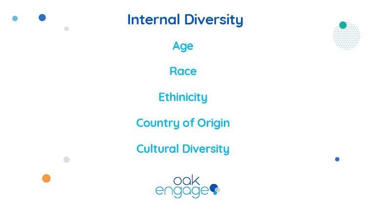 internal diversity includes factors such as age, race and ethnicity