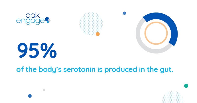 95% of the body's serotonin is produced in the gut