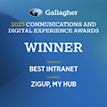 Gallagher 2025 communications and digital experience winner